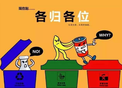 91视频网站下载生物：91视频黄片APP垃圾为什么要单独分类，回收处理的好处了解一下！